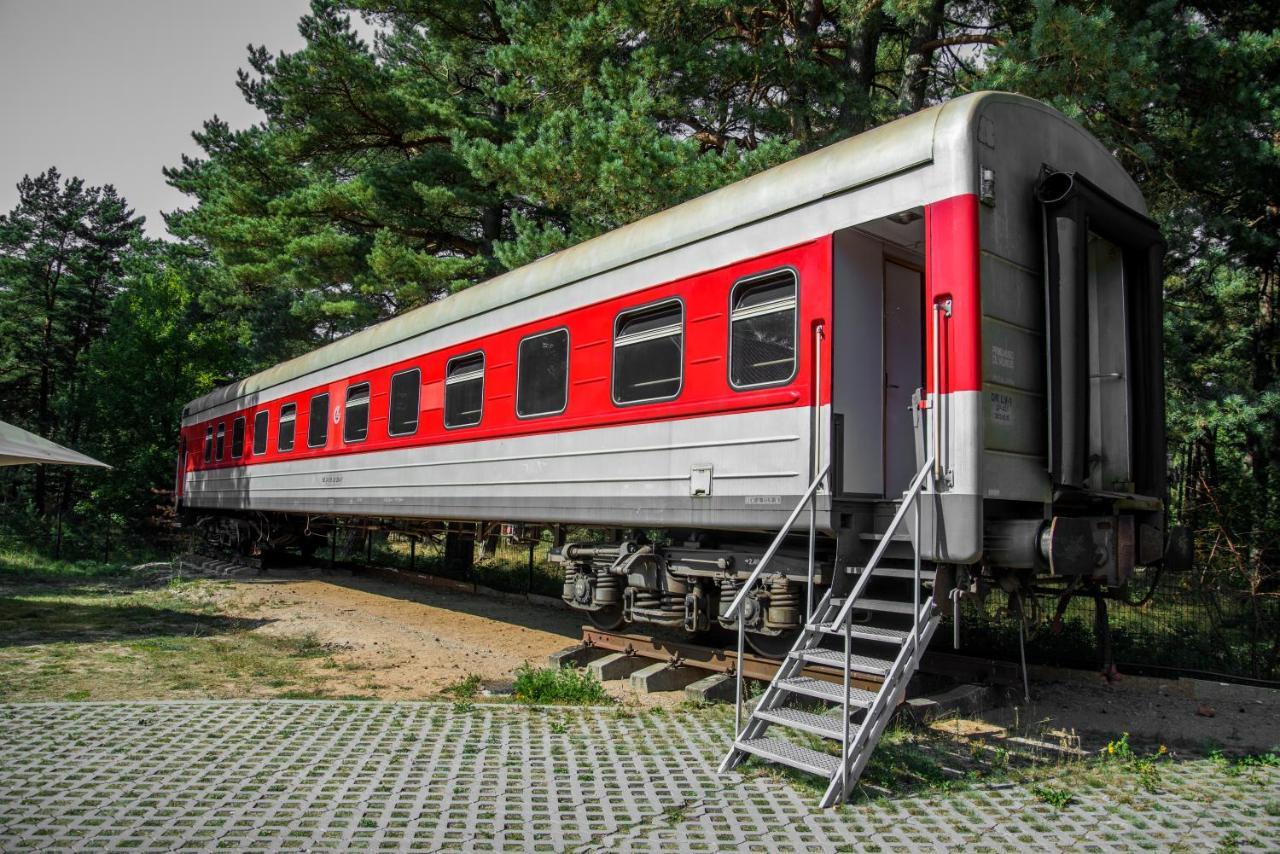 Palanga Camping Compensa Hostel Eksteriør bilde