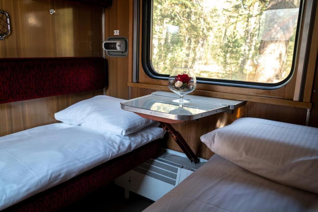 Palanga Camping Compensa Hostel Eksteriør bilde